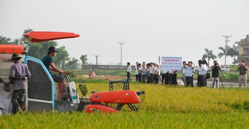 Активизация планировки больших полей и механизации сельского хозяйства в провинции Бакнинь - ảnh 3