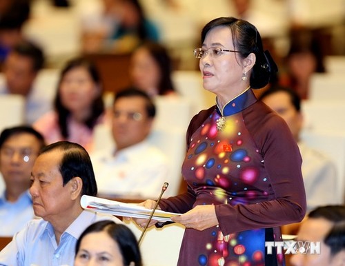 Вьетнамские депутаты продолжили обсуждать социально-экономическое положение страны - ảnh 1