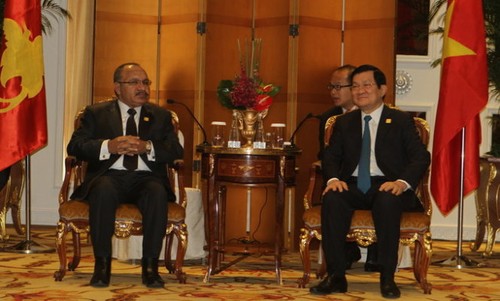 Деятельность президента СРВ Чыонг Тан Шанга в кулуарах 22-го саммита АТЭС - ảnh 1