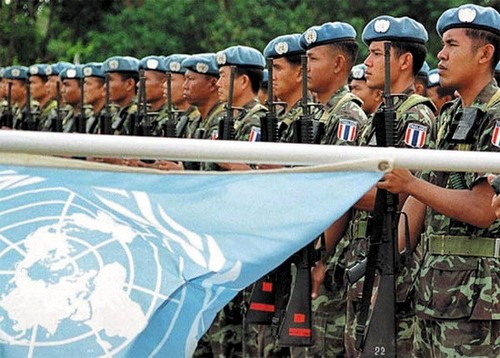 ООН продлила мандат миротворческих сил в Боснии и Герцеговине - ảnh 1