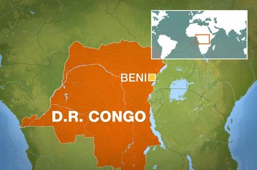В Конго произошло массовое убийство, погибли 14 человек - ảnh 1