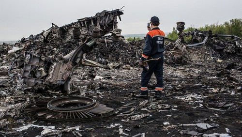 2014 год – год катастроф мировой авиации - ảnh 1