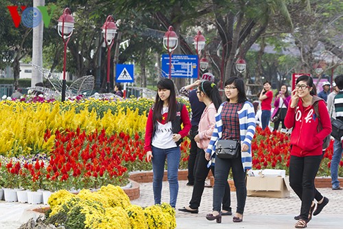 Улица весенних цветов Батьданг в Дананге - ảnh 9
