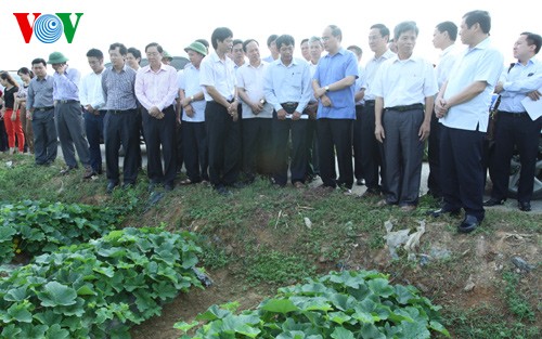 Глава ОФВ Нгуен Тхиен Нян провёл осмотр модели кооператива в провинции Тханьхоа - ảnh 1