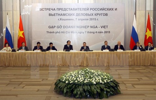 Состояние и перспективы российско-вьетнамского инвестиционного сотрудничества на новом этапе - ảnh 2