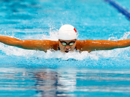 Ань Вьен и ее достижения на Кубке мира по плаванию - ảnh 2