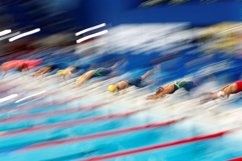 Ань Вьен и ее достижения на Кубке мира по плаванию - ảnh 3