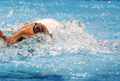 Ань Вьен и ее достижения на Кубке мира по плаванию - ảnh 4