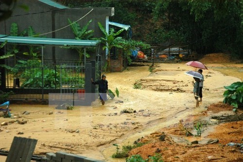 Вьетнамцы в РФ собрали средства в поддержку пострадавшим от наводнения в провинции Куангнинь - ảnh 1