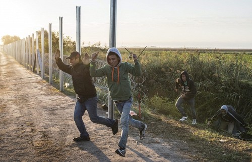 Европа сталкивается с серьёзными вызовами безопасности из-за волны миграции - ảnh 1