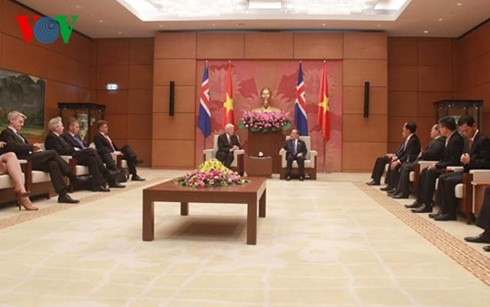 Президент Вьетнама провёл переговоры с исландским коллегой - ảnh 5