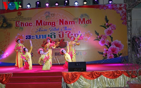 Вьетнамцы за границей встречают Традиционный новый год по лунному календарю - ảnh 1