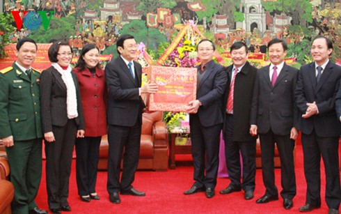 Президент СРВ поздравил жителей провинций Хынгйен и Ханам с наступающим Тэтом - ảnh 1