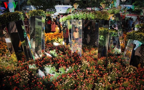 В провинциях и городах Вьетнама открылись цветочные улицы в честь Нового года Огненной Обезьяны - ảnh 2