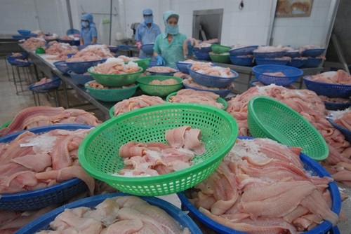 23 вьетнамских компаний отвечают требованиям по поставкам пангасиуса в США - ảnh 1