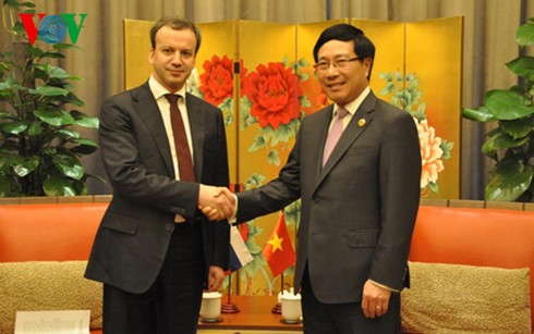 Фам Бинь Минь встретился с вице-премьером РФ и премьером Госсовета КНР - ảnh 1