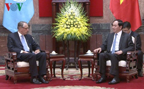 Президент Вьетнама принял заместителя генерального секретаря ООН - ảnh 1