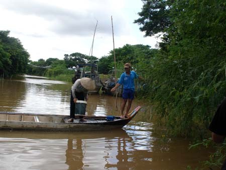 Крестьяне провинции Донгтхап зарабатывают на жизнь в сезон паводка - ảnh 3