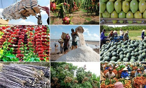 Реструктуризация сельского хозяйства: повышение добавленной стоимости продукции - ảnh 1