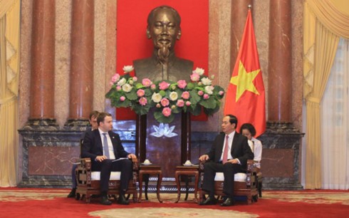 Вьетнам отдаёт приоритет развитию всеобъемлющего стратегического партнёрства с РФ - ảnh 1