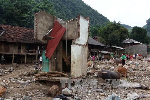 Выделено 600 млн донгов в помощь пострадавщим от стихийных бедствий в провинциях Йенбай и Шонла - ảnh 1