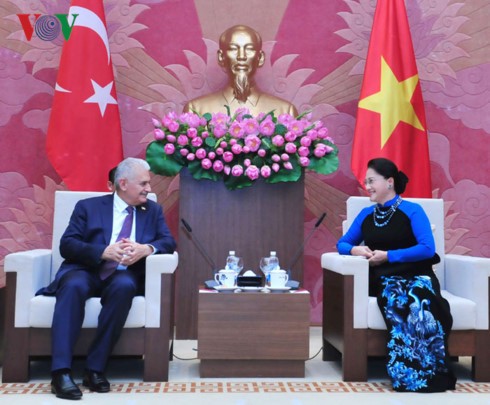 Премьер Турции провел переговоры и встречи с высшими руководителями Вьетнама - ảnh 2