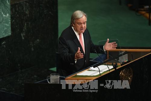 ООН призвала решить проблему КНДР дипломатическим путём - ảnh 1