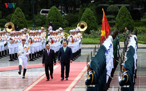 Вьетнам и Венгрия готовы к новому этапу сотрудничества - ảnh 1