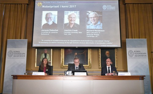 Нобелевскую премию по химии 2017 года вручат за визуализацию биомолекул - ảnh 1