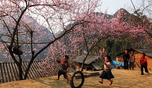 На северо-запад Вьетнама пришла ранняя весна - ảnh 1