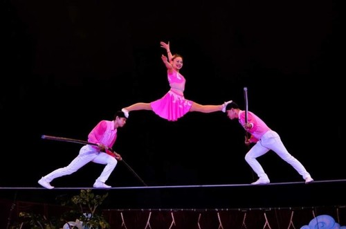 Первое международное цирковое гала-представление откроется во Вьетнаме 16 февраля - ảnh 1