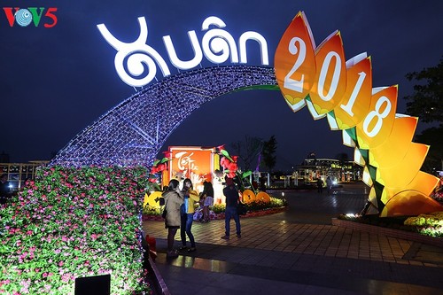 Жители Вьетнама радостно встречают Новый год Земляной Собаки - ảnh 2