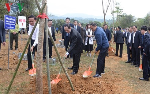Президент Вьетнама Чан Дан Куанг развернул праздник посадки деревьев - ảnh 2