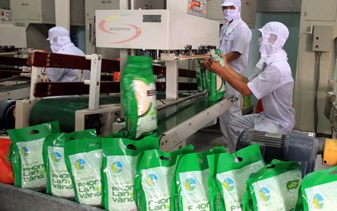 Вьетнам развивает рынок риса - ảnh 1