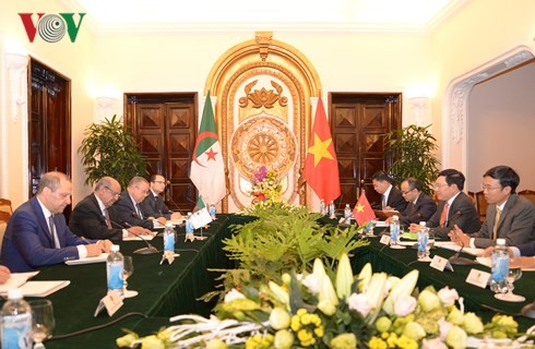 Вьетнам и Алжир активизируют двусторонние отношения - ảnh 2