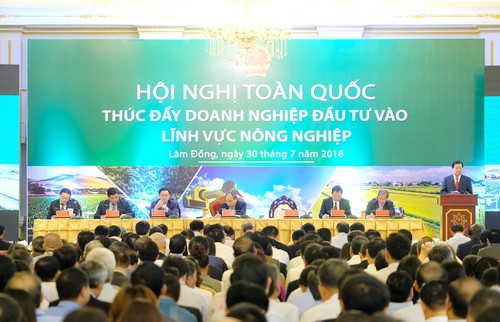 Вьетнам содействует инвестициям в сферу сельского хозяйства - ảnh 1
