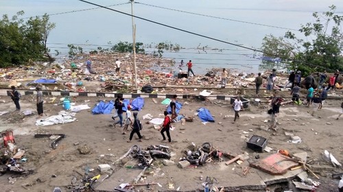 В Индонезии в результате землетрясения и цунами погибли 30 человек - ảnh 1