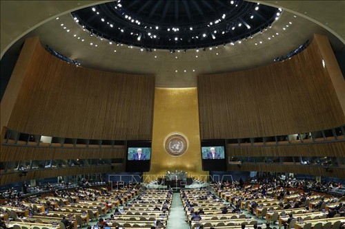 Комитет Генассамблеи ООН отказался обсуждать российский проект резолюции в поддержку ДРСМД - ảnh 1