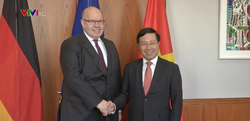 Вьетнам и Германия расширяют двустороннее сотрудничество - ảnh 1