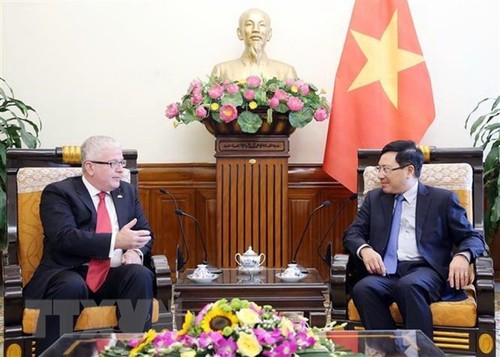 Фам Бинь Минь принял посла Австралии в связи с окончанием срока его работы во Вьетнаме - ảnh 1