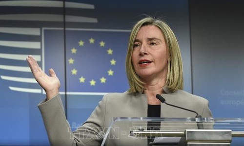 ЕС продолжает выполнять обязательства по борьбе с терроризмом в Африке - ảnh 1