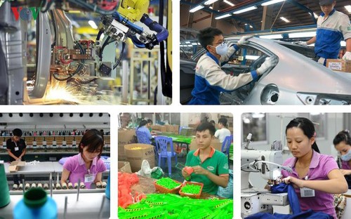 Предприятия Вьетнама используют возможности, предоставляемые ССТ между СРВ и ЕС - ảnh 1