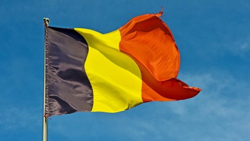 Высшее руководство Вьетнама поздравило бельгийских коллег с Национальным днём страны - ảnh 1