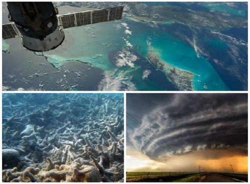 Новый доклад МГЭИК: необходимы срочные меры по защите климата и океанов - ảnh 1