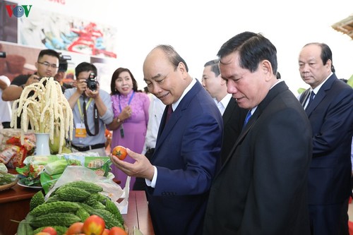 Премьер Вьетнама принял участие конференции по привлечению инвестиций в провинцию Чавинь - ảnh 1