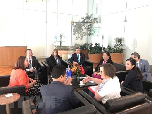 Тонг Тхи Фонг провела двусторонние встречи с руководителями парламентов разных стран - ảnh 4