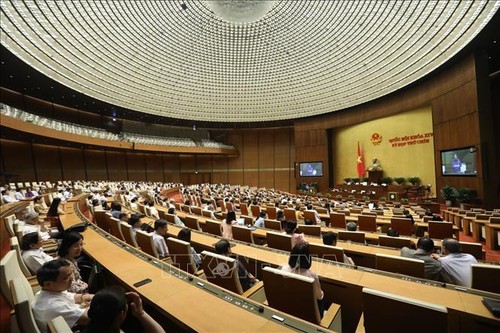 Нацсобрание Вьетнама приняло Закон об инвестициях (с изменениями) - ảnh 1
