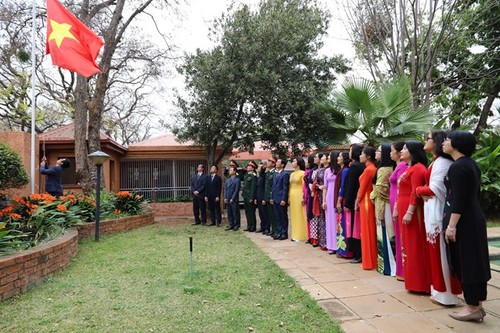 СМИ ЮАР высоко оценивают внешнеполитический курс и достижения Вьетнама - ảnh 1