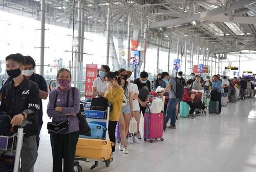Вьетнамские граждане вывезены с Филиппин на Родину - ảnh 1