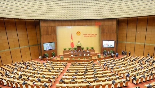 Национальное собрание Вьетнама обсуждает два законопроекта - ảnh 1